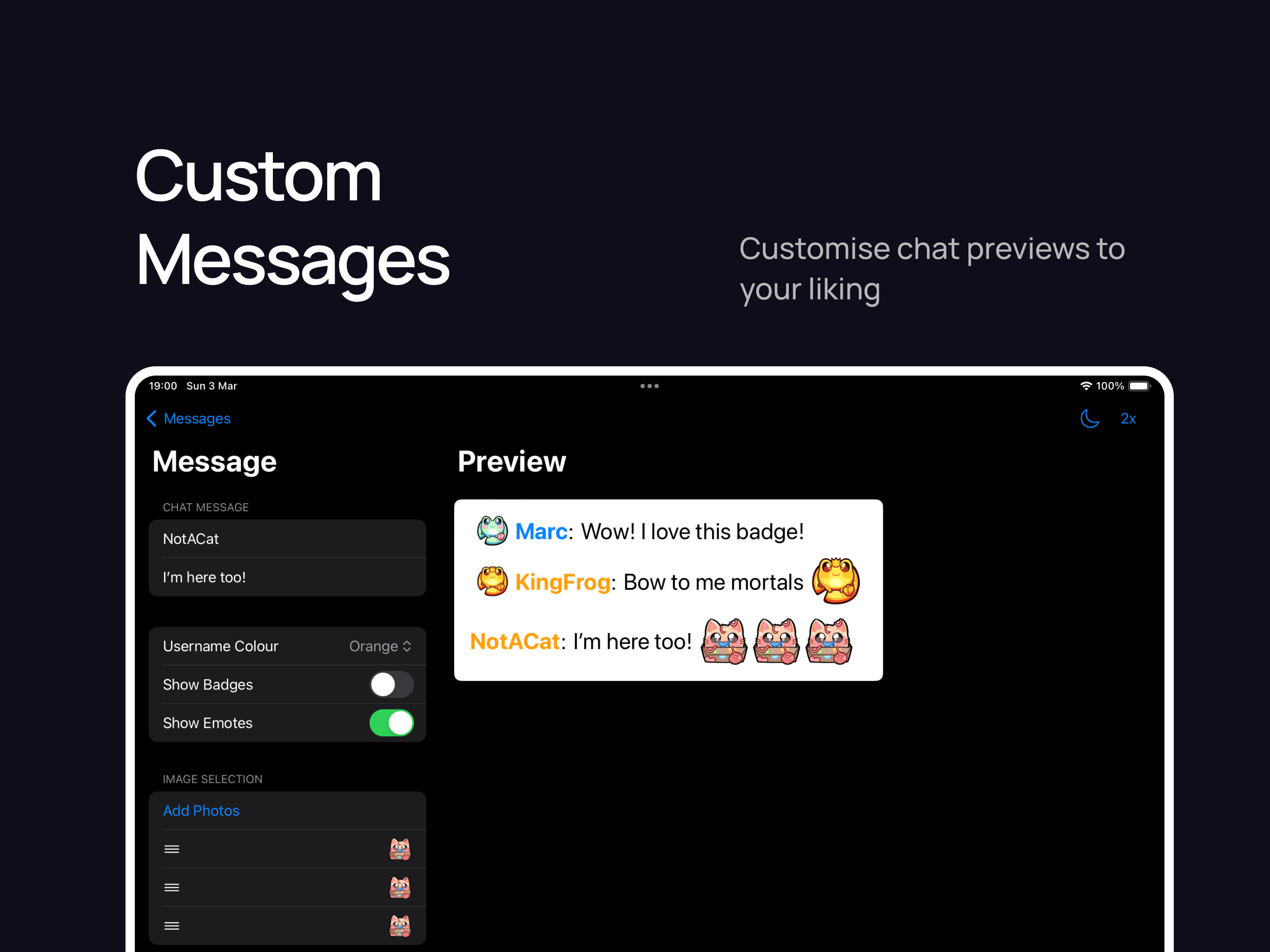 Screenshot of the Badger app, showing the ability to change the theme between light and dark, as well
as the ability to zoom in on the messages